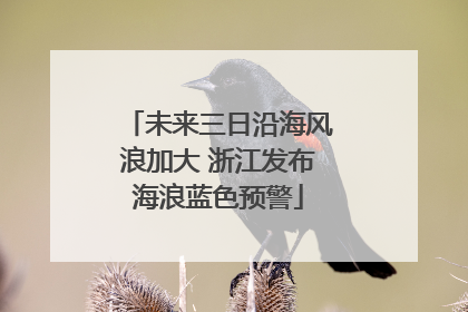 未来三日沿海风浪加大 浙江发布海浪蓝色预警