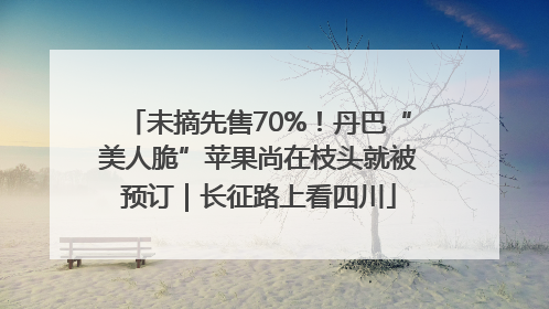 未摘先售70%！丹巴“美人脆”苹果尚在枝头就被预订｜长征路上看四川