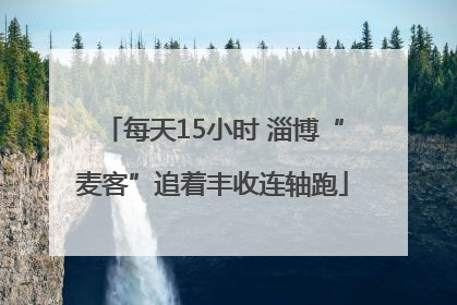 每天15小时 淄博“麦客”追着丰收连轴跑