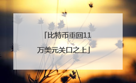比特币重回11万美元关口之上