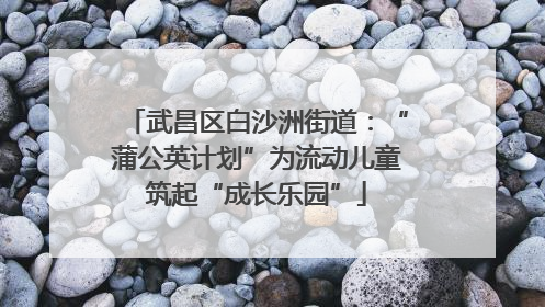 武昌区白沙洲街道：“蒲公英计划”为流动儿童筑起“成长乐园”