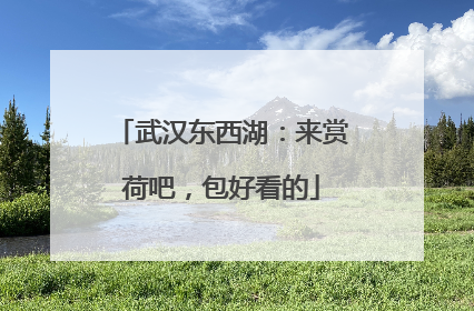 武汉东西湖：来赏荷吧，包好看的
