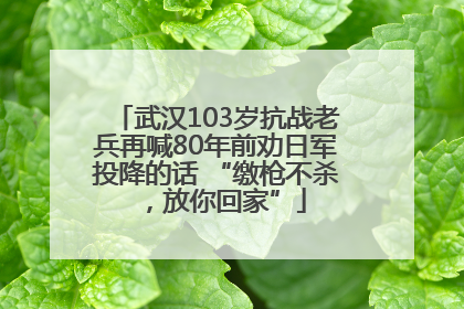 武汉103岁抗战老兵再喊80年前劝日军投降的话 “缴枪不杀，放你回家”