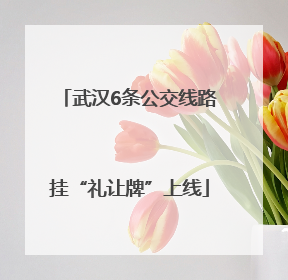 武汉6条公交线路挂“礼让牌”上线