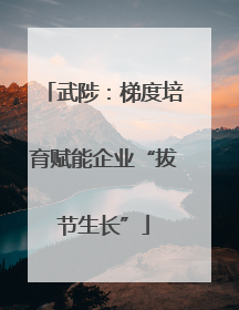 武陟：梯度培育赋能企业“拔节生长”