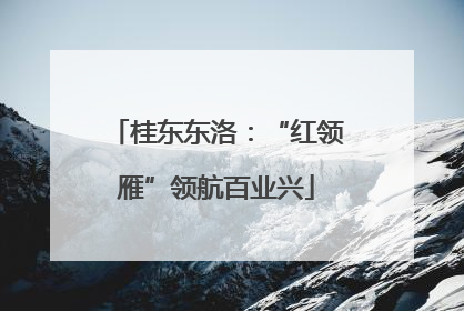 桂东东洛：“红领雁”领航百业兴