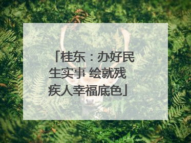 桂东：办好民生实事 绘就残疾人幸福底色