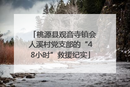 桃源县观音寺镇会人溪村党支部的“48小时”救援纪实