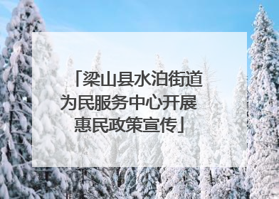梁山县水泊街道为民服务中心开展惠民政策宣传