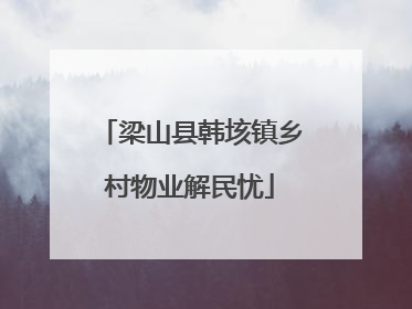 梁山县韩垓镇乡村物业解民忧