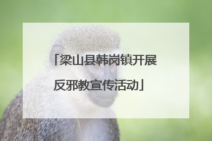 梁山县韩岗镇开展反邪教宣传活动