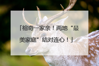 榕奇一家亲！两地“最美家庭”结对连心！