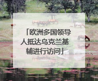 欧洲多国领导人抵达乌克兰基辅进行访问