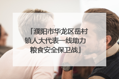 濮阳市华龙区岳村镇人大代表一线助力粮食安全保卫战