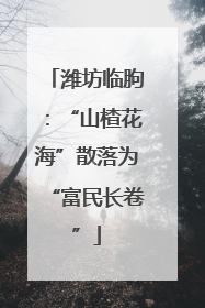 潍坊临朐：“山楂花海”散落为“富民长卷”