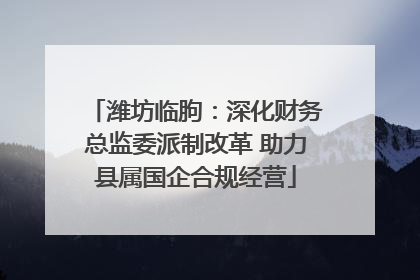 潍坊临朐：深化财务总监委派制改革 助力县属国企合规经营