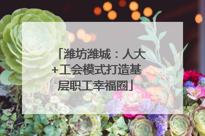 潍坊潍城：人大+工会模式打造基层职工幸福圈