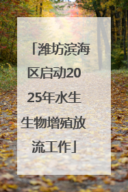 潍坊滨海区启动2025年水生生物增殖放流工作