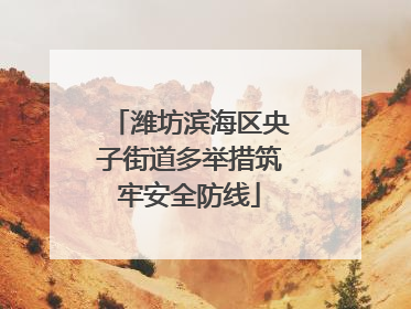 潍坊滨海区央子街道多举措筑牢安全防线