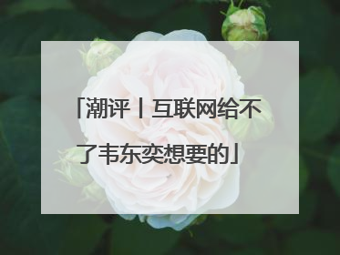 潮评丨互联网给不了韦东奕想要的