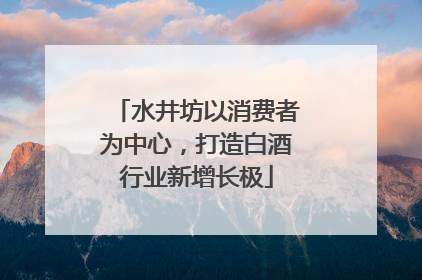 水井坊以消费者为中心，打造白酒行业新增长极