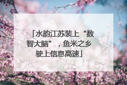 水韵江苏装上“数智大脑”，鱼米之乡驶上信息高速