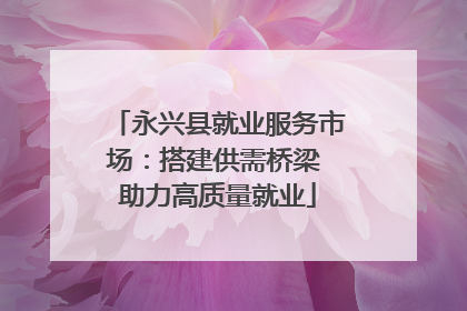 永兴县就业服务市场：搭建供需桥梁 助力高质量就业