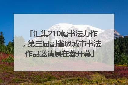 汇集210幅书法力作，第三届副省级城市书法作品邀请展在蓉开幕