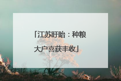 江苏盱眙：种粮大户喜获丰收