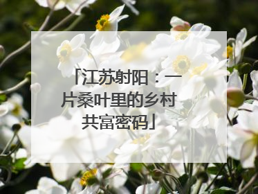 江苏射阳：一片桑叶里的乡村共富密码