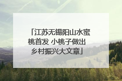 江苏无锡阳山水蜜桃首发 小桃子做出乡村振兴大文章