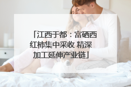 江西于都：富硒西红柿集中采收 精深加工延伸产业链