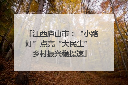 江西庐山市：“小路灯”点亮“大民生” 乡村振兴稳提速