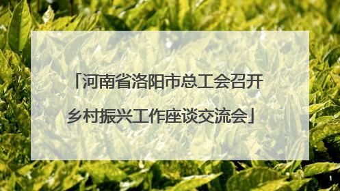 河南省洛阳市总工会召开乡村振兴工作座谈交流会
