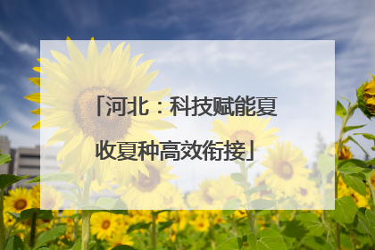 河北：科技赋能夏收夏种高效衔接