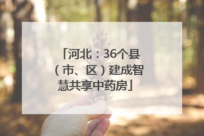 河北：36个县（市、区）建成智慧共享中药房