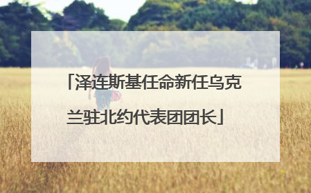 泽连斯基任命新任乌克兰驻北约代表团团长