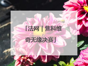 法网｜焦科维奇无缘决赛