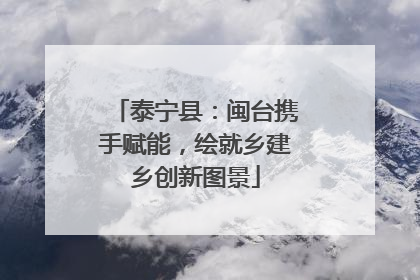 泰宁县：闽台携手赋能，绘就乡建乡创新图景