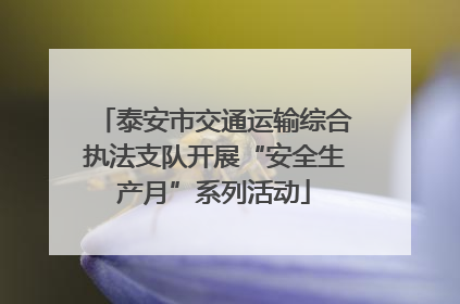 泰安市交通运输综合执法支队开展“安全生产月”系列活动
