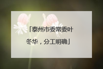 泰州市委常委叶冬华，分工明确