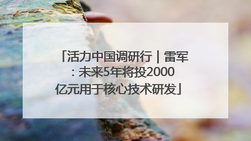 活力中国调研行｜雷军：未来5年将投2000亿元用于核心技术研发