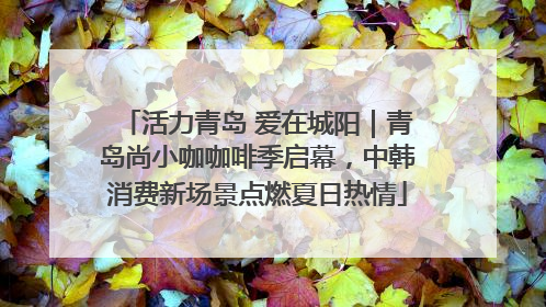 活力青岛 爱在城阳｜青岛尚小咖咖啡季启幕，中韩消费新场景点燃夏日热情