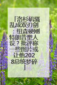 洛杉矶骚乱成双刃剑：纽森硬刚特朗普塑人设？批评称一些图片或让他2028总统梦碎