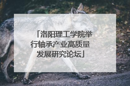 洛阳理工学院举行轴承产业高质量发展研究论坛