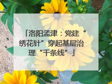 洛阳孟津：党建“绣花针”穿起基层治理“千条线”