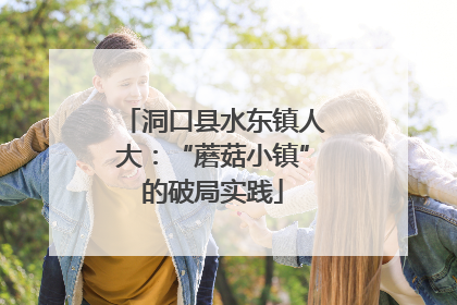 洞口县水东镇人大：“蘑菇小镇”的破局实践