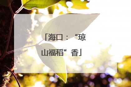海口：“琼山福稻”香