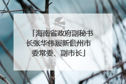 海南省政府副秘书长张华伟履新儋州市委常委、副市长
