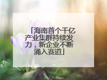 海南首个千亿产业集群持续发力，新企业不断涌入赛道